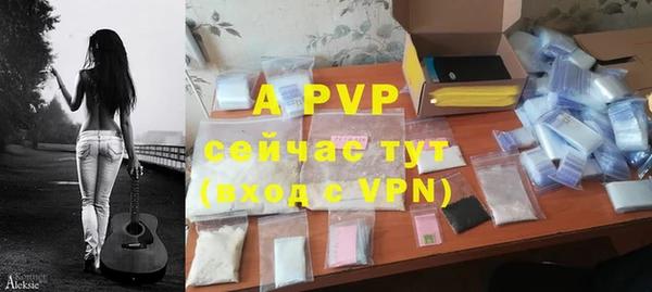 твердый Арсеньев