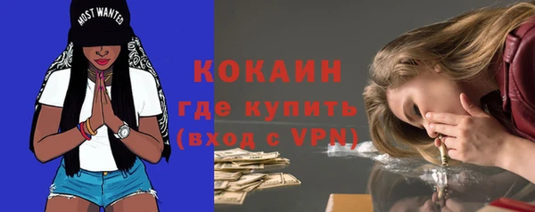 твердый Арсеньев