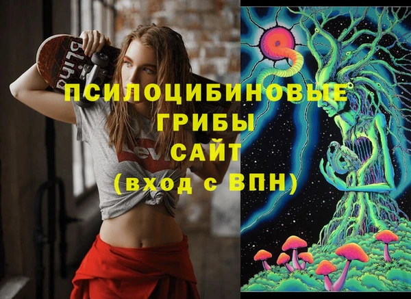 твердый Арсеньев