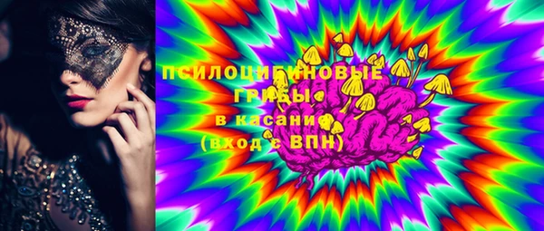 твердый Арсеньев